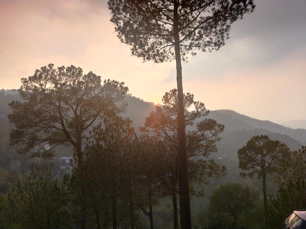 Pine Villa Kasauli Dış mekan fotoğraf