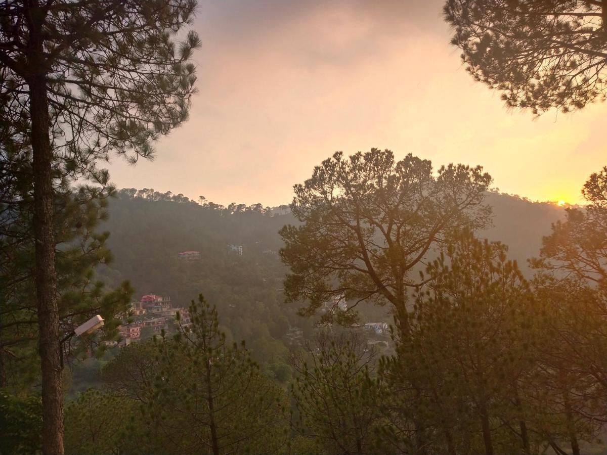 Pine Villa Kasauli Dış mekan fotoğraf