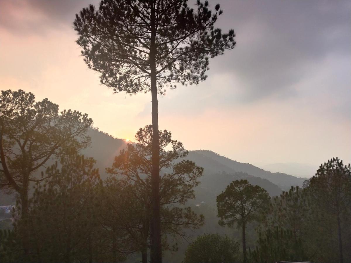 Pine Villa Kasauli Dış mekan fotoğraf