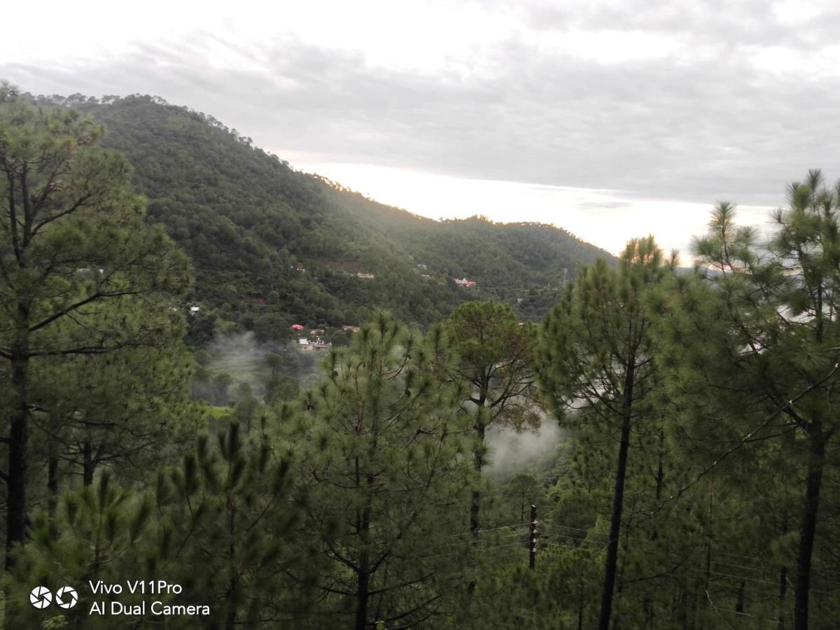 Pine Villa Kasauli Dış mekan fotoğraf