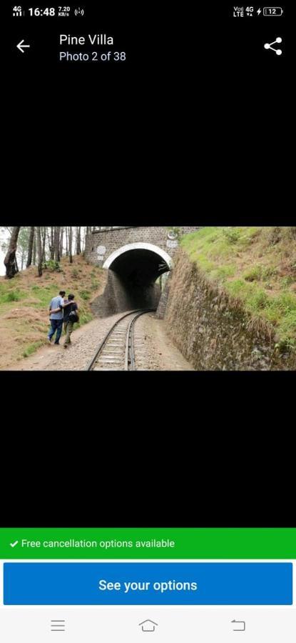 Pine Villa Kasauli Dış mekan fotoğraf