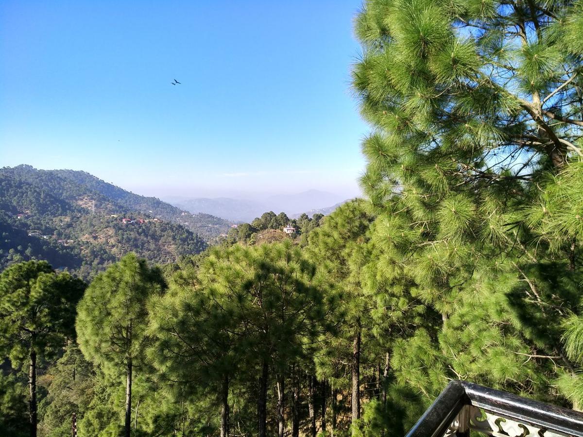 Pine Villa Kasauli Dış mekan fotoğraf