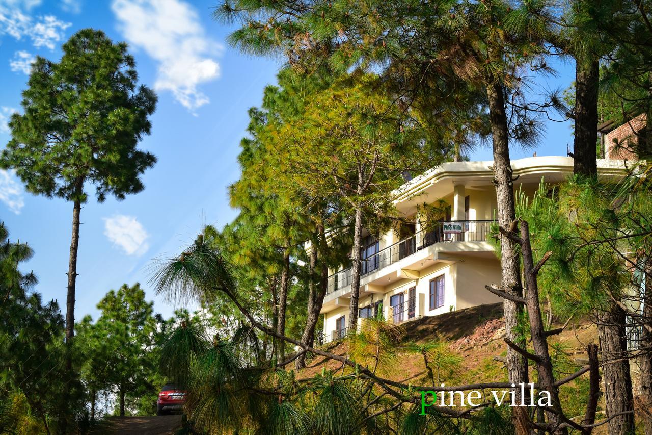 Pine Villa Kasauli Dış mekan fotoğraf